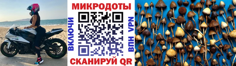 маркетплейс наркотические препараты  Кимры  Псилоцибиновые грибы Psilocybine cubensis  магазин продажи наркотиков 
